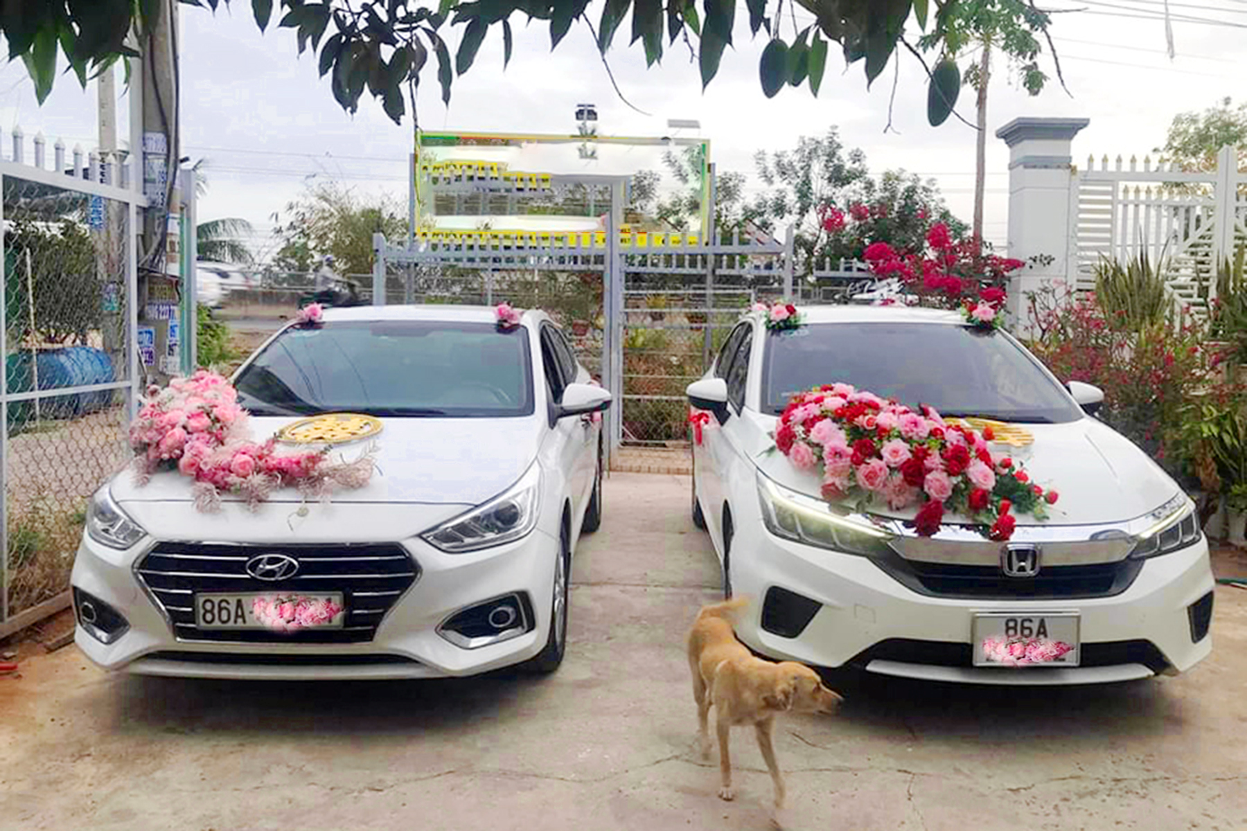 Xe Hoa - 4 Chổ